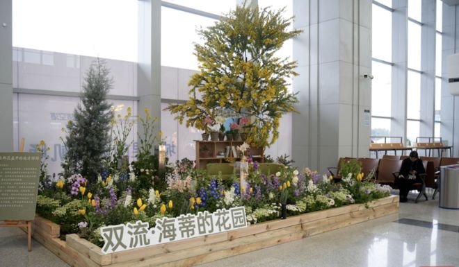 流机场T1航站楼升级亮点多J9国际集团焕新归来！双(图4)