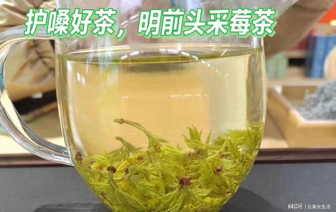 多少钱一斤原来从当地茶农手中买只要这个价j9九游会真人游戏第一张家界高山莓茶价格(图2)
